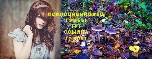 spice Балабаново