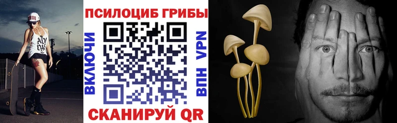 дарнет шоп  Гвардейск  blacksprut ONION  Галлюциногенные грибы Psilocybe 